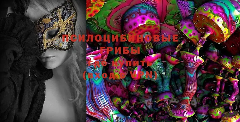 Галлюциногенные грибы MAGIC MUSHROOMS Гуково